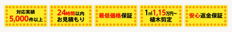 お庭リフォーム隊の5つの特徴